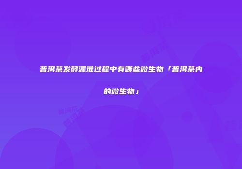 普洱茶发酵渥堆过程中有哪些微生物「普洱茶内的微生物」