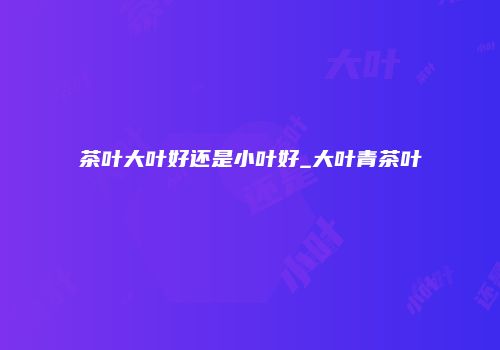 茶叶大叶好还是小叶好_大叶青茶叶