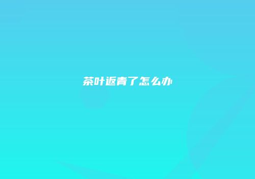 茶叶返青了怎么办