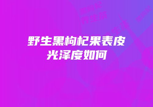 野生黑枸杞果表皮光泽度如何