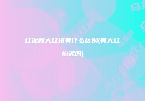 红泥和大红袍有什么区别(有大红袍泥吗)