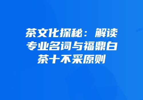 茶文化探秘：解读专业名词与福鼎白茶十不采原则