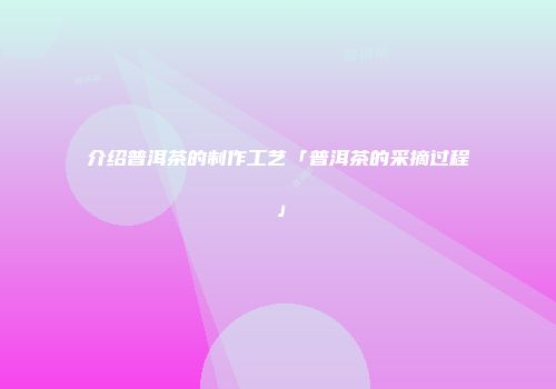 介绍普洱茶的制作工艺「普洱茶的采摘过程」