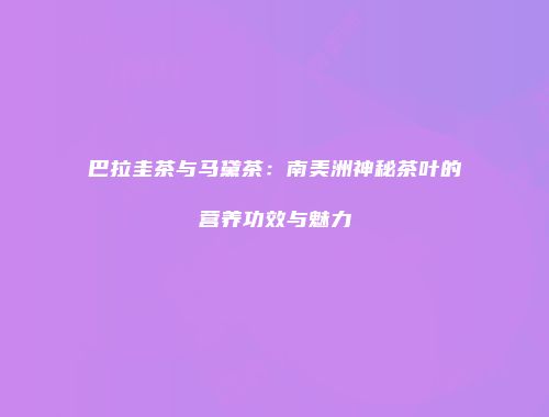 巴拉圭茶与马黛茶：南美洲神秘茶叶的营养功效与魅力
