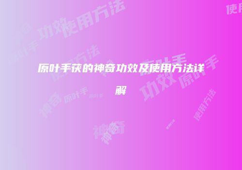 原叶手茯的神奇功效及使用方法详解