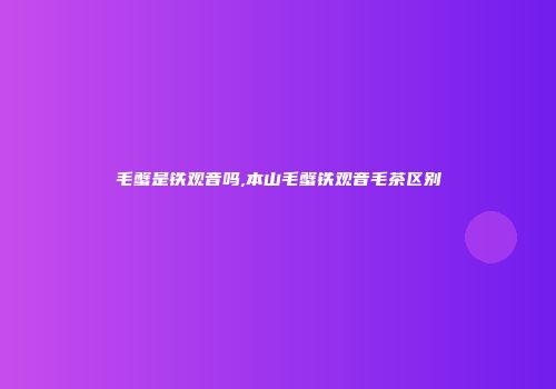 毛蟹是铁观音吗,本山毛蟹铁观音毛茶区别