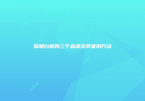 福鼎白茶的三个品级及其鉴别方法