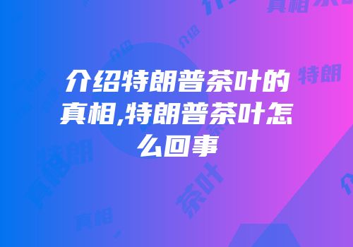 介绍特朗普茶叶的真相,特朗普茶叶怎么回事