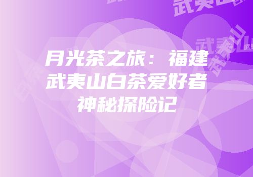 月光茶之旅：福建武夷山白茶爱好者神秘探险记