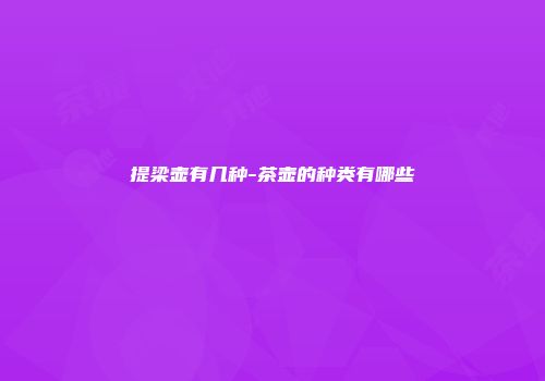 提梁壶有几种-茶壶的种类有哪些
