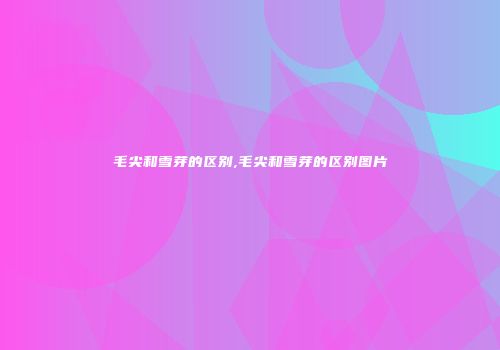 毛尖和雪芽的区别,毛尖和雪芽的区别图片