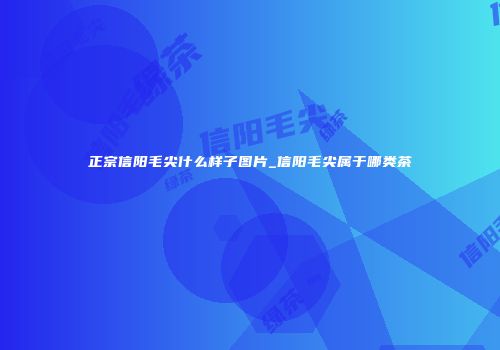 正宗信阳毛尖什么样子图片_信阳毛尖属于哪类茶