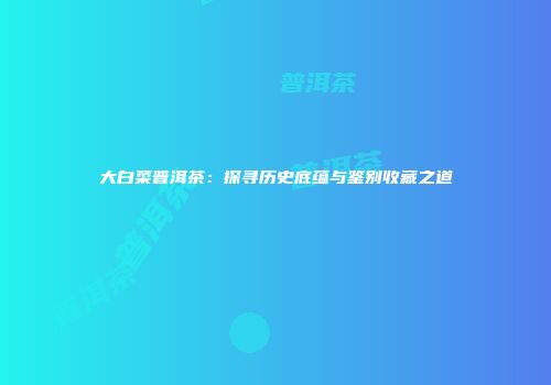 大白菜普洱茶：探寻历史底蕴与鉴别收藏之道