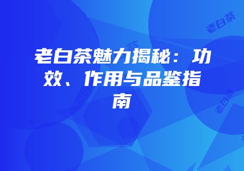 老白茶魅力揭秘：功效、作用与品鉴指南
