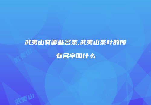 武夷山有哪些名茶,武夷山茶叶的所有名字叫什么