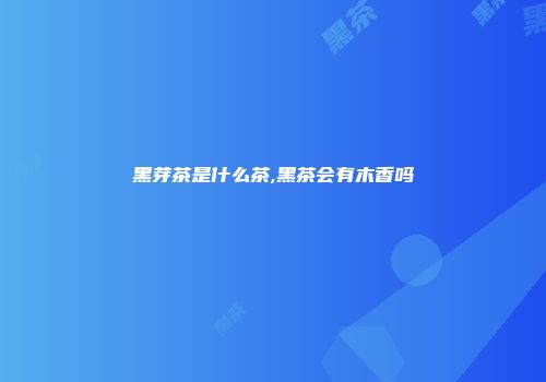 黑芽茶是什么茶,黑茶会有木香吗