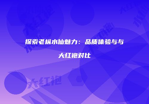探索老枞水仙魅力：品质体验与与大红袍对比