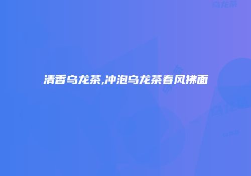 清香乌龙茶,冲泡乌龙茶春风拂面