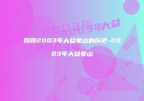 回顾2003年大益象山的历史-2003年大益象山