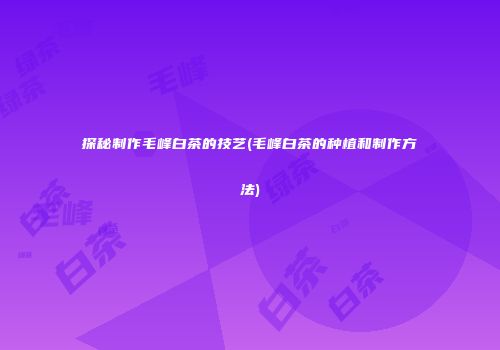 探秘制作毛峰白茶的技艺(毛峰白茶的种植和制作方法)