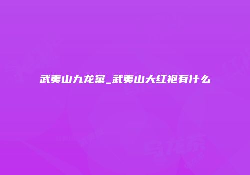 武夷山九龙窠_武夷山大红袍有什么