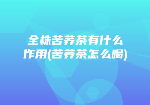 全株苦荞茶有什么作用(苦荞茶怎么喝)