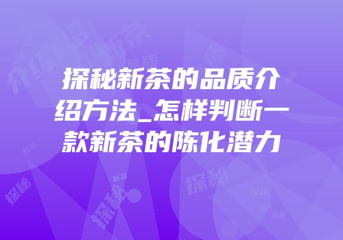 探秘新茶的品质介绍方法_怎样判断一款新茶的陈化潜力