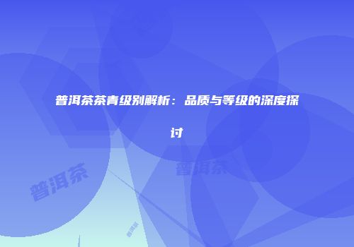 普洱茶茶青级别解析：品质与等级的深度探讨