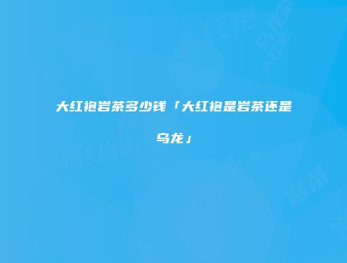 大红袍岩茶多少钱「大红袍是岩茶还是乌龙」