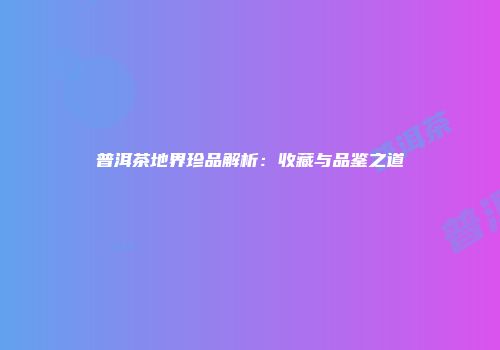 普洱茶地界珍品解析：收藏与品鉴之道
