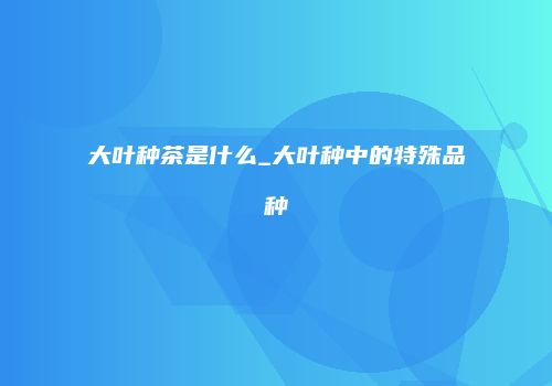 大叶种茶是什么_大叶种中的特殊品种