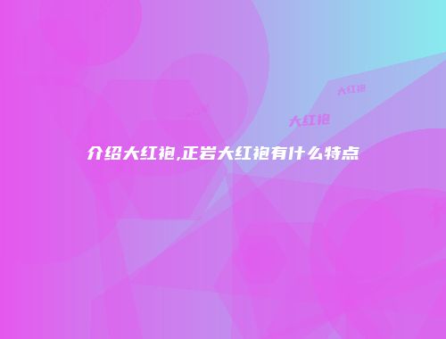 介绍大红袍,正岩大红袍有什么特点