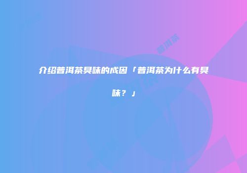 介绍普洱茶臭味的成因「普洱茶为什么有臭味？」