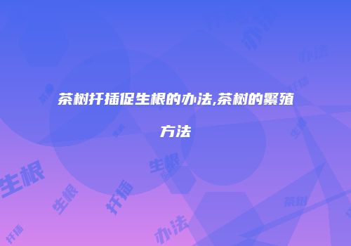 茶树扦插促生根的办法,茶树的繁殖方法