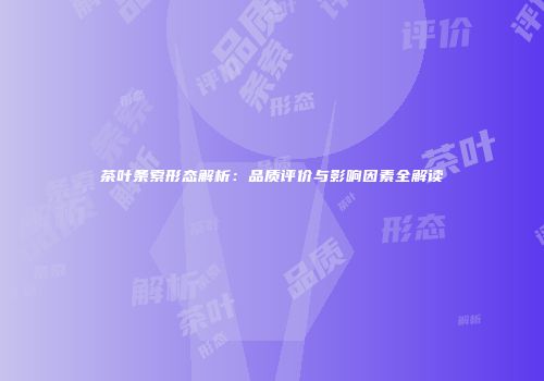 茶叶条索形态解析：品质评价与影响因素全解读