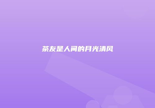茶友是人间的月光清风