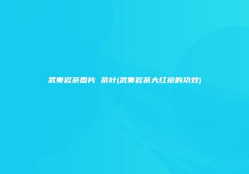 武夷岩茶图片 茶叶(武夷岩茶大红袍的功效)