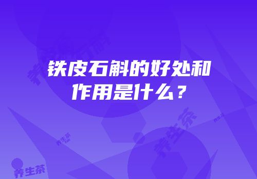 铁皮石斛的好处和作用是什么？
