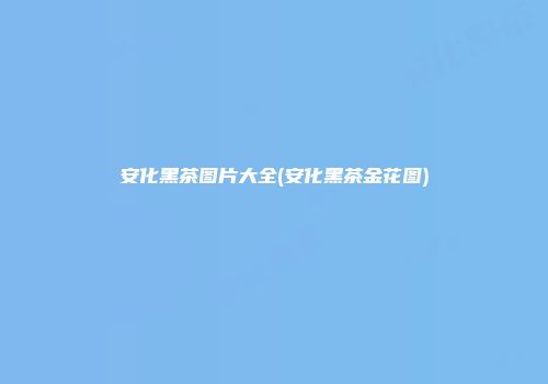 安化黑茶图片大全(安化黑茶金花图)
