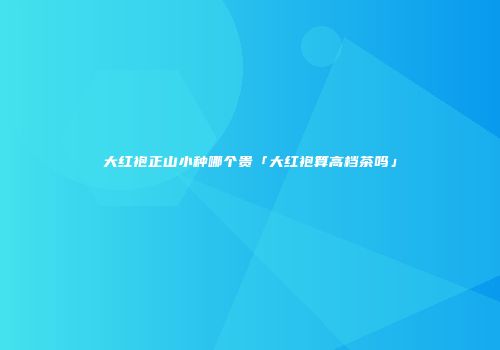 大红袍正山小种哪个贵「大红袍算高档茶吗」
