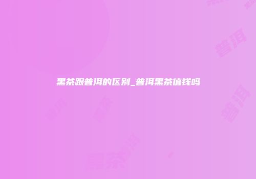 黑茶跟普洱的区别_普洱黑茶值钱吗