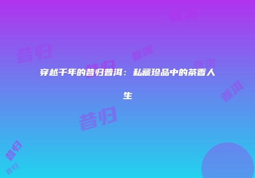 穿越千年的昔归普洱：私藏珍品中的茶香人生