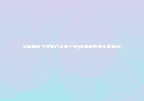 凤凰单枞与武夷岩茶哪个好(凤凰单枞是不是黄茶)