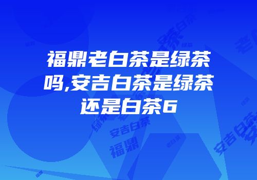 福鼎老白茶是绿茶吗,安吉白茶是绿茶还是白茶6