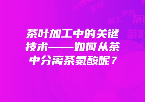 茶叶加工中的关键技术——如何从茶中分离茶氨酸呢？