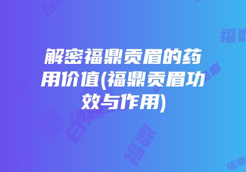 解密福鼎贡眉的药用价值(福鼎贡眉功效与作用)