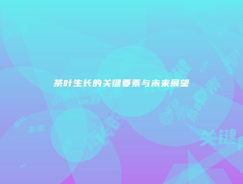 茶叶生长的关键要素与未来展望