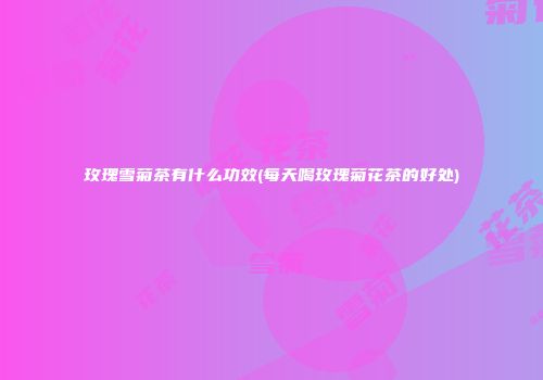 玫瑰雪菊茶有什么功效(每天喝玫瑰菊花茶的好处)
