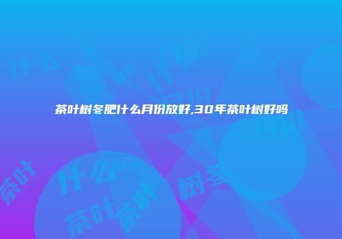 茶叶树冬肥什么月份放好,30年茶叶树好吗