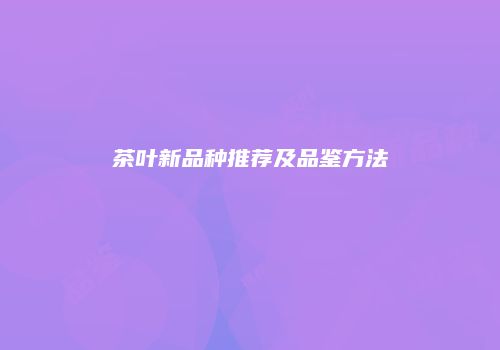 茶叶新品种推荐及品鉴方法